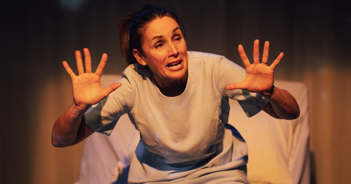 How Now Brown Cow Lucy Barton The Something Guy