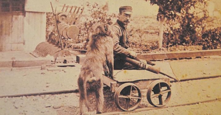 The True Story of Jack the Baboon, South Africa’s Smartest Signalman