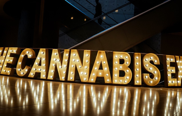 What to Expect at The Cannabis Expo Johannesburg 2026 - The Something Guy